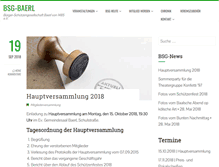 Tablet Screenshot of bsg-baerl.de